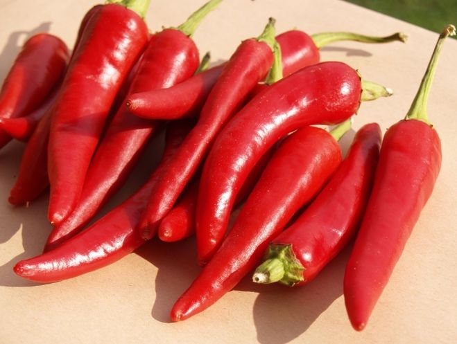 Cayenne rød