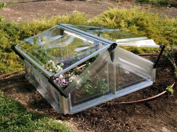 Belgian greenhouse