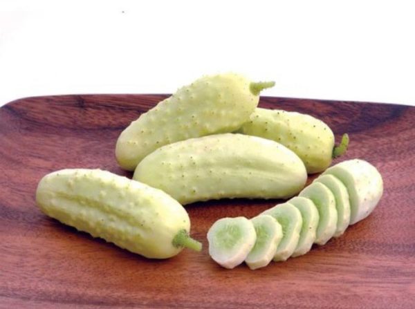 puting pipino