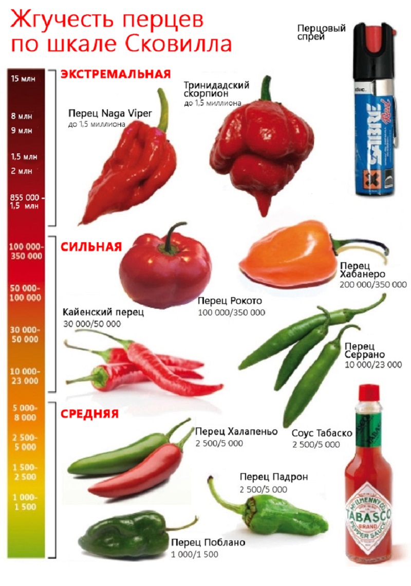 Scolville Hot Pepper