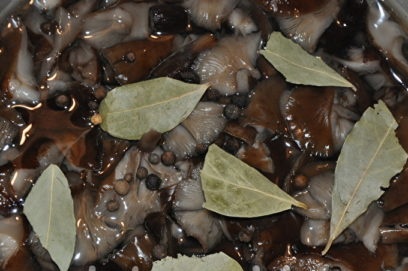 champignons giet marinade