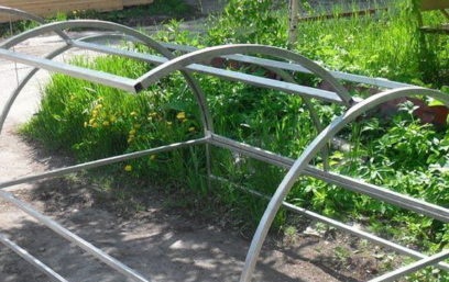 greenhouse butterfly