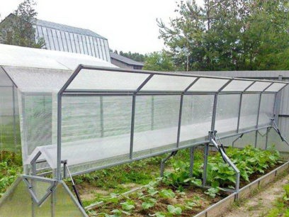 Buksan ang tuktok na polycarbonate greenhouses