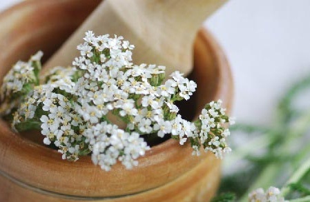 Yarrow