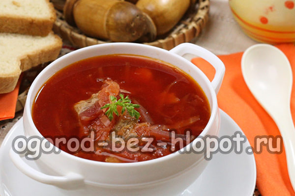 borsch na may karne ng baka