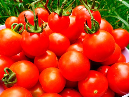 tomaten beitsen