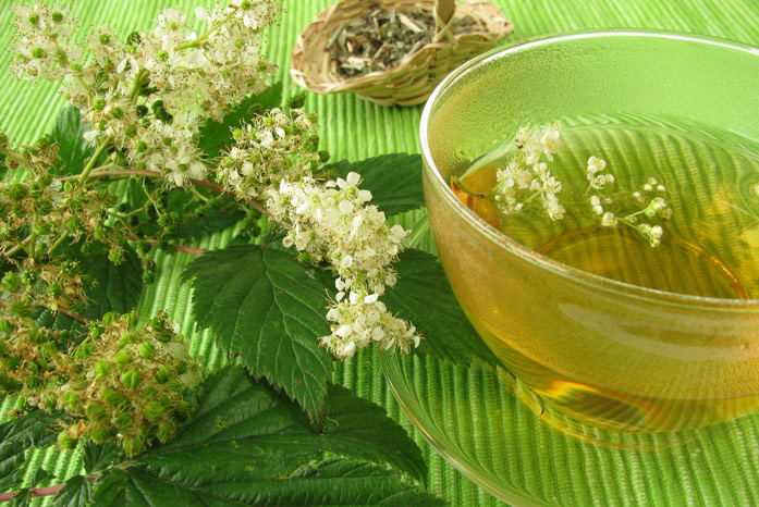 Meadowsweet te