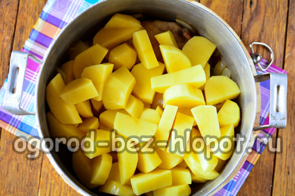 giet aardappels en giet water