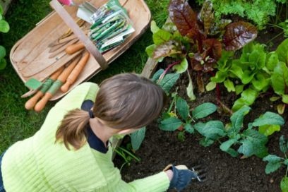 Maanfasen in juli 2019 voor tuiniers