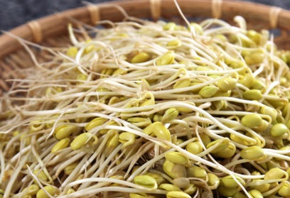 bean sprouts