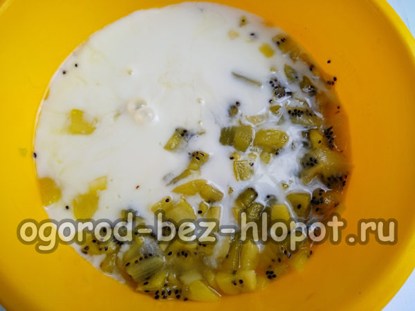 kiwi en yoghurt