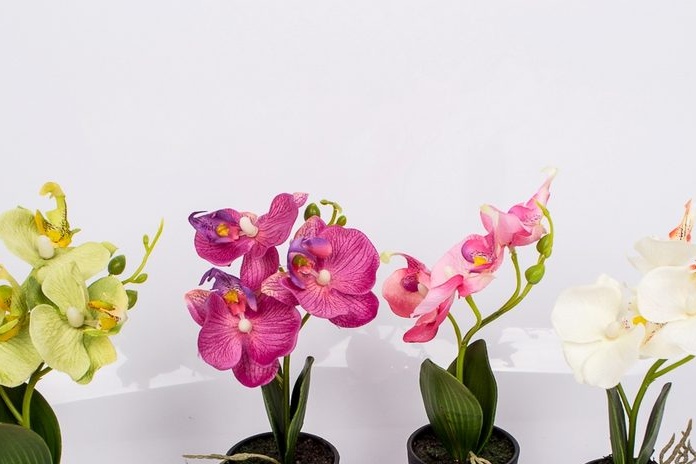 Ingemaakte Orchideeën