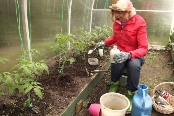 topdressing van tomaten