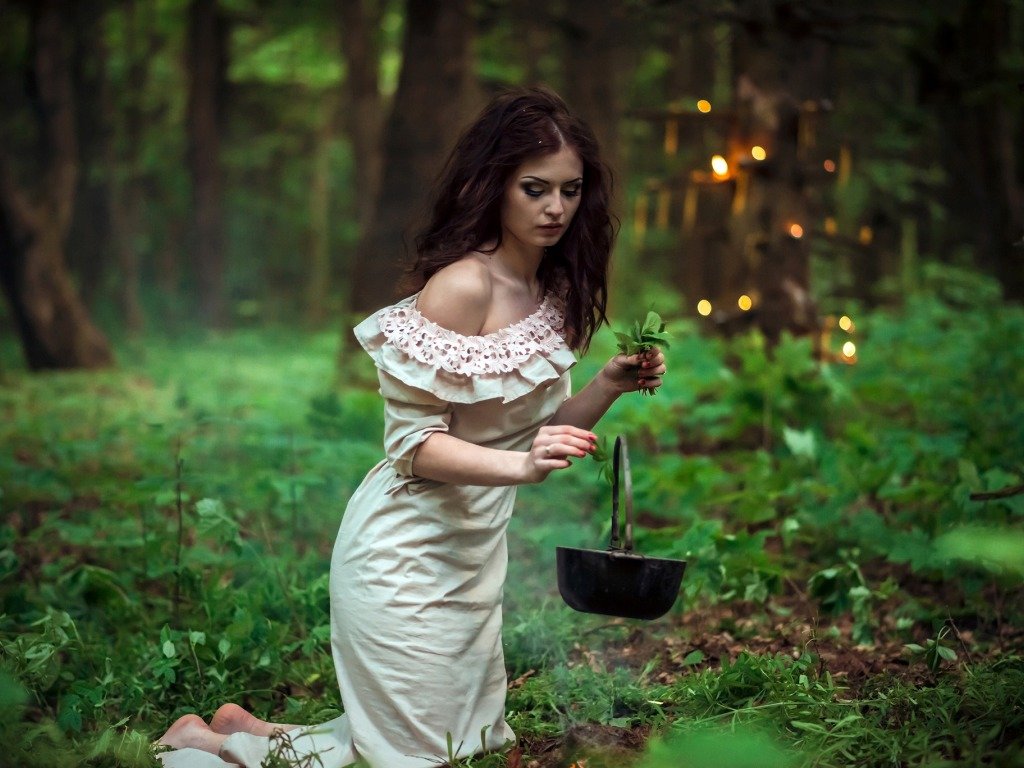 De heks verzamelt kruiden in het bos