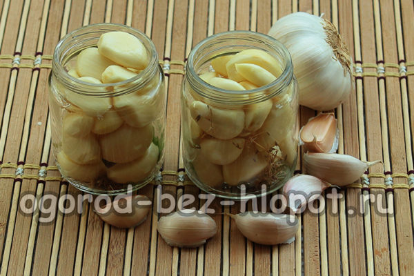 vul de potten met knoflook