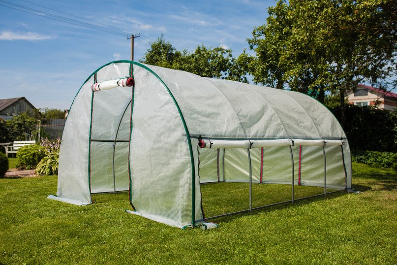 greenhouse