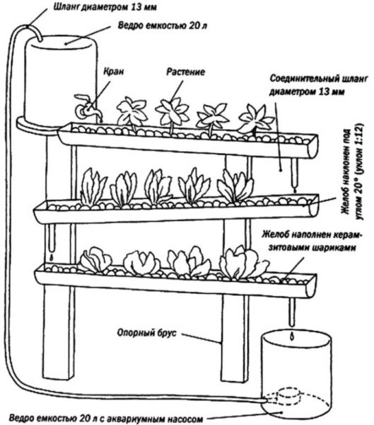 vertikalnye grjadki gidroponika