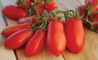 tomato lady fingers characteristic and description of the variety