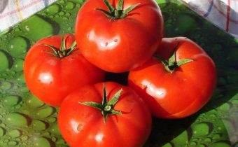 Tomate Bobcat caractéristique et description de la variété