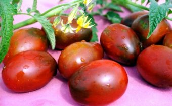 tomato de barao characteristic and description of the variety