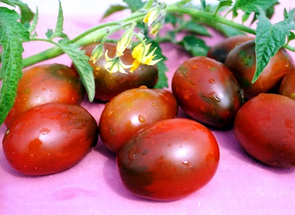 katangian ng tomato de barao at paglalarawan ng iba't-ibang