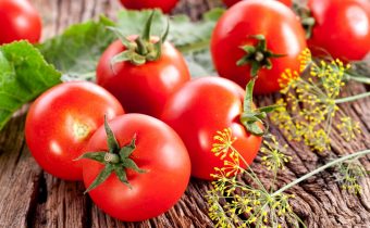 tomates résistantes à la chaleur pour le sud de la Russie