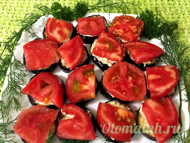 Eggplant Tomatoes