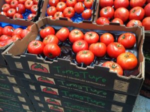 stockage de tomates