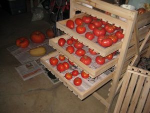 tomates en boîtes