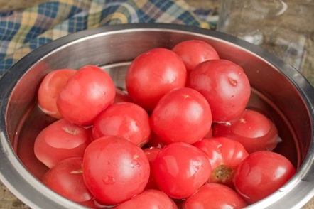 strong tomatoes