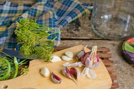 garlic and dill processing