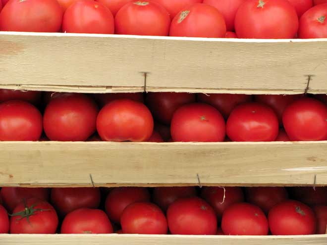 tomates en boîtes