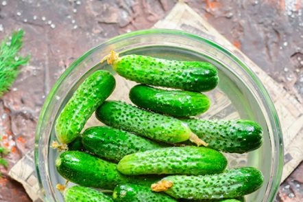 Cucumbers