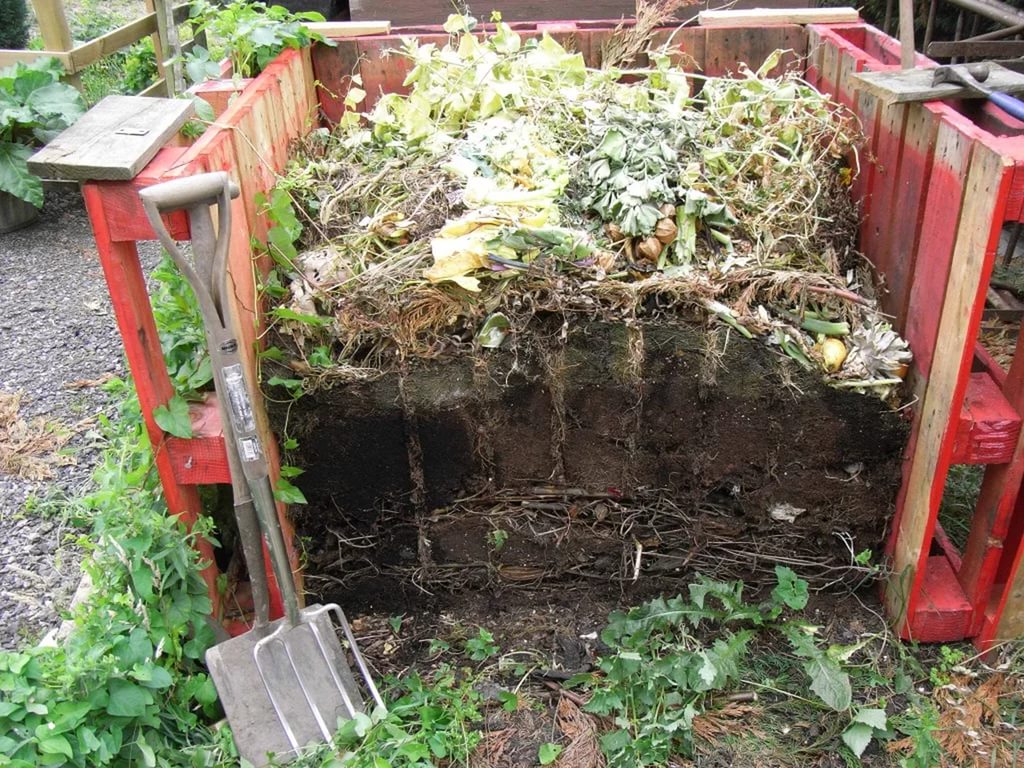 compost pour tomates