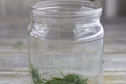 Spices in a jar