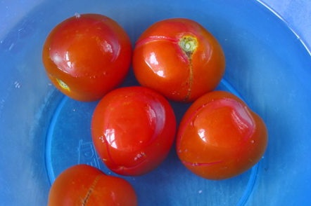 préparer des tomates