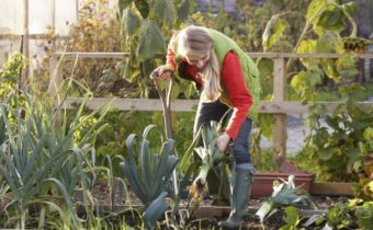 work in the garden