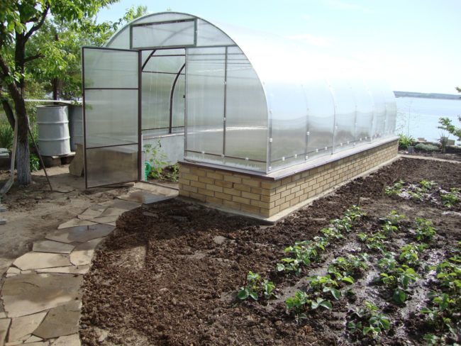 polycarbonate greenhouse