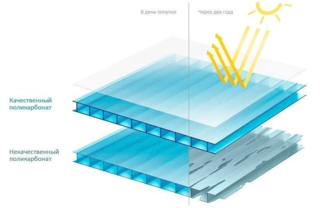 polycarbonate for greenhouses