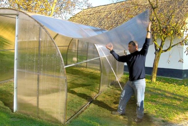 polycarbonate greenhouse