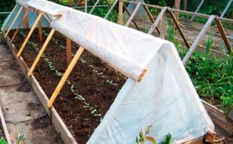 greenhouse do it yourself