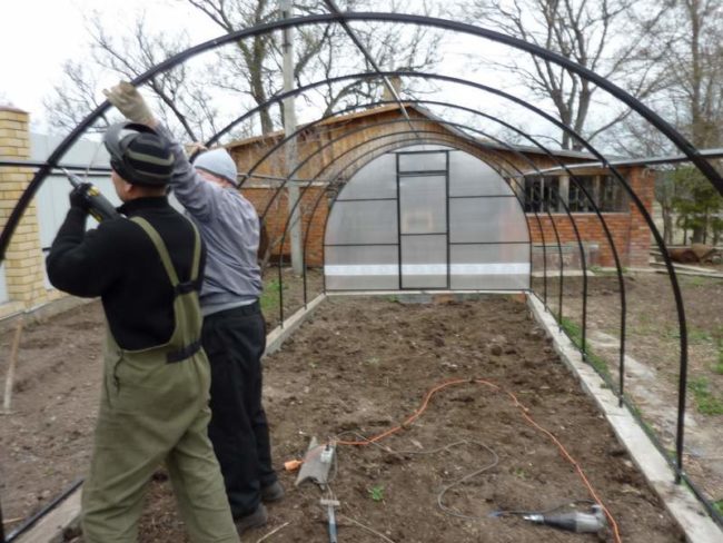 polycarbonate greenhouse