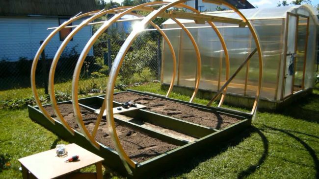 polycarbonate greenhouse