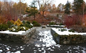 garden in February