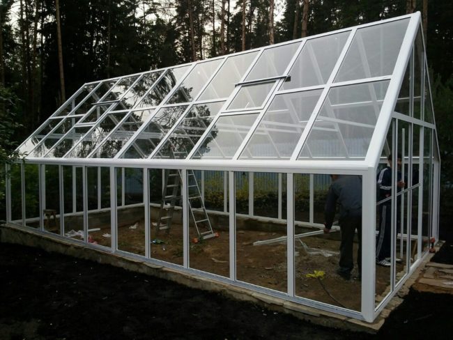 greenhouse