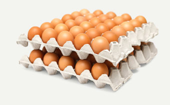 Egg Trays